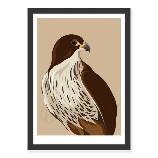 Falcon caramel art print in black frame, by NZ artist Hansby Design