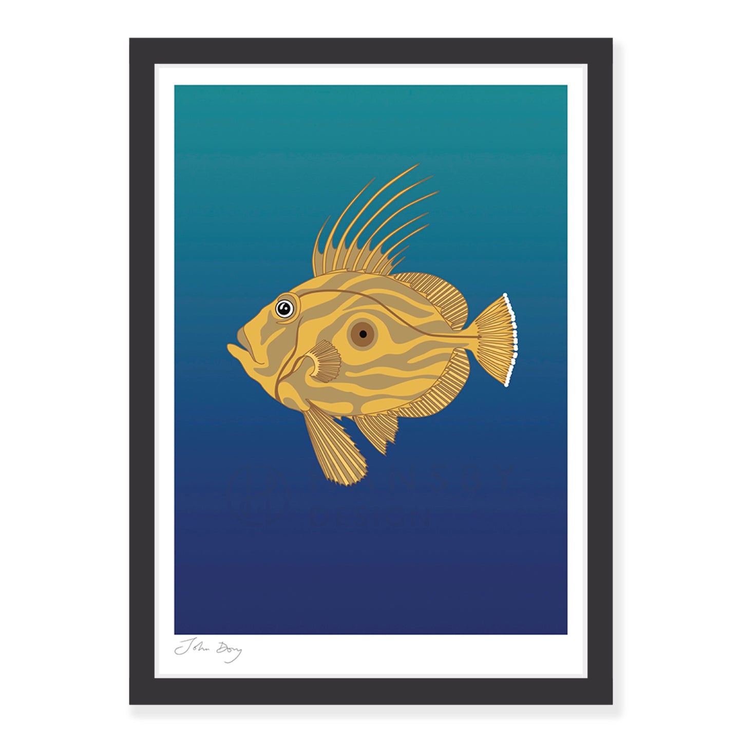 John Dory art print in black frame, by NZ artist Hansby Design