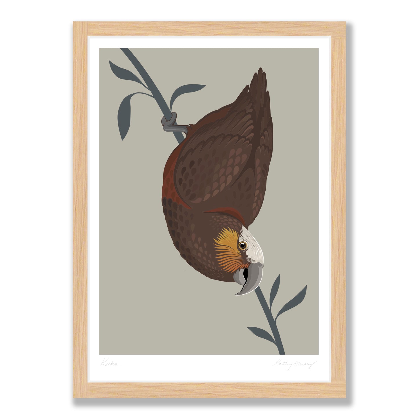 Kaka Art print by NZ artist Hansby Design in wooden frame