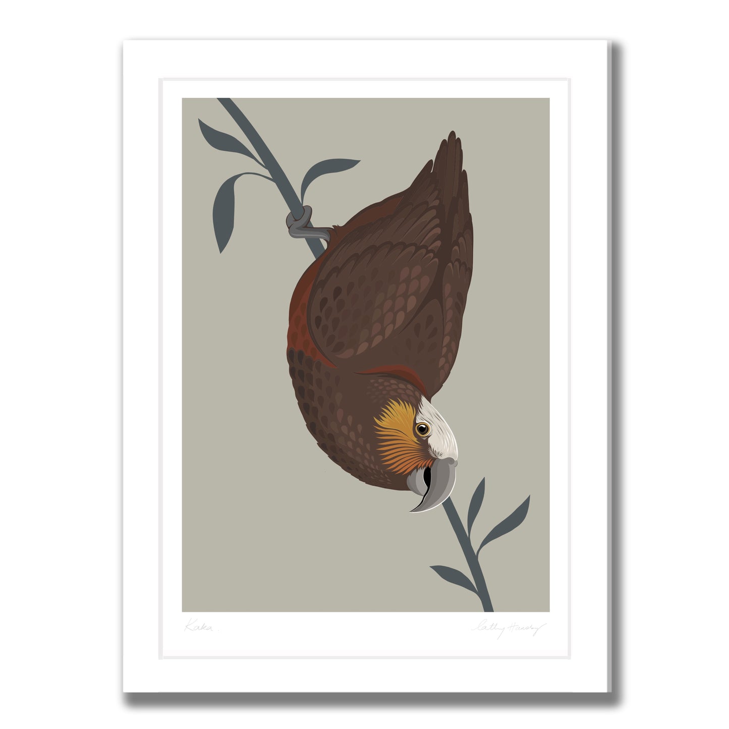 Kaka art print in white frame by NZ artist Hansby Design