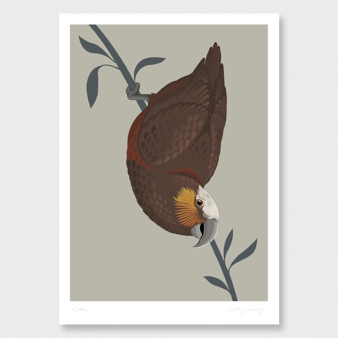 Kaka art print by New Zealand artist Hansby Design