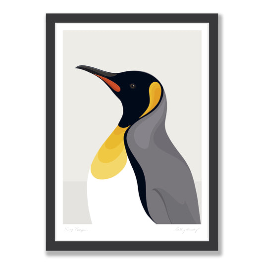 King Penguin portrait - grey