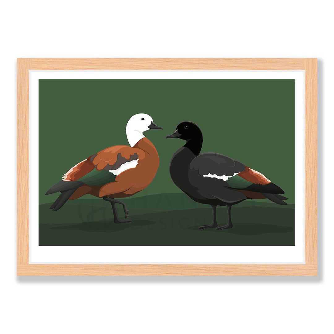 Limited Edition Paradise Shelduck art print in natural frame, by NZ artist Hansby Design