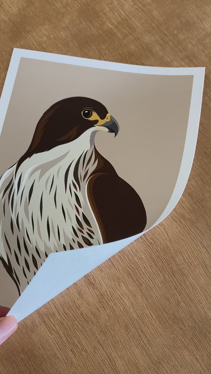 Falcon caramel art print