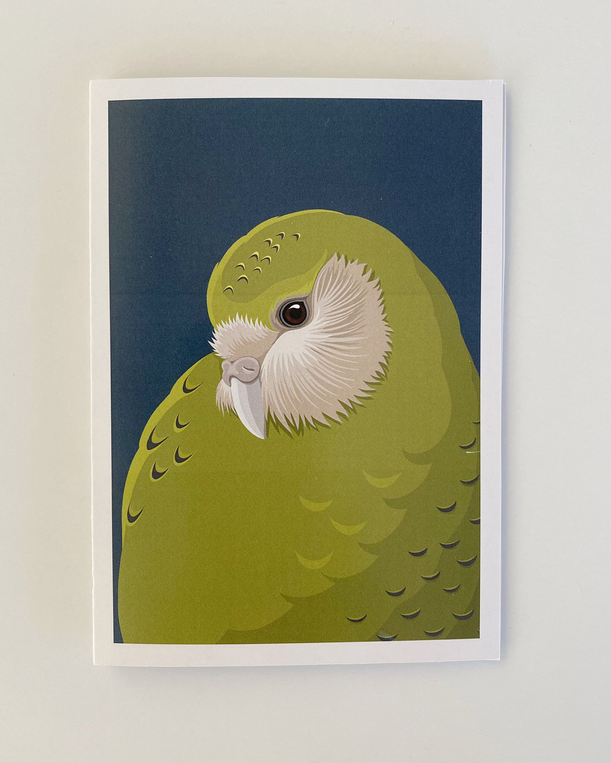 Kakapo Card art print, by NZ artist Hansby Design