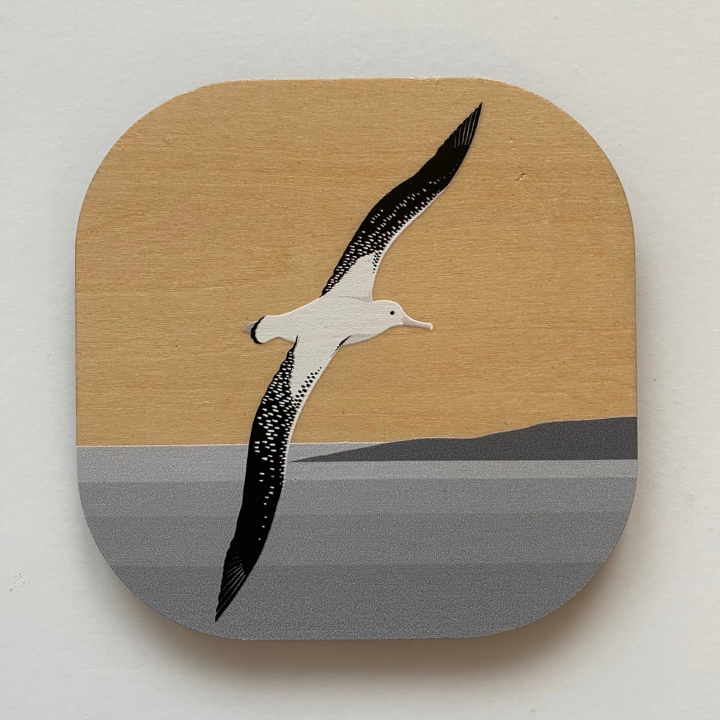 Albatross wooden coaster by Hansby Design New Zealand