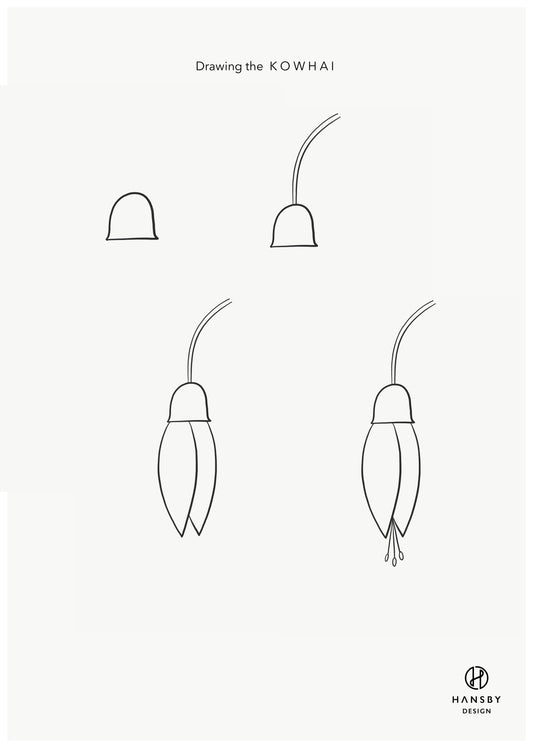 Drawing NZ Icons - Kowhai art print by New Zealand artist Hansby Design
