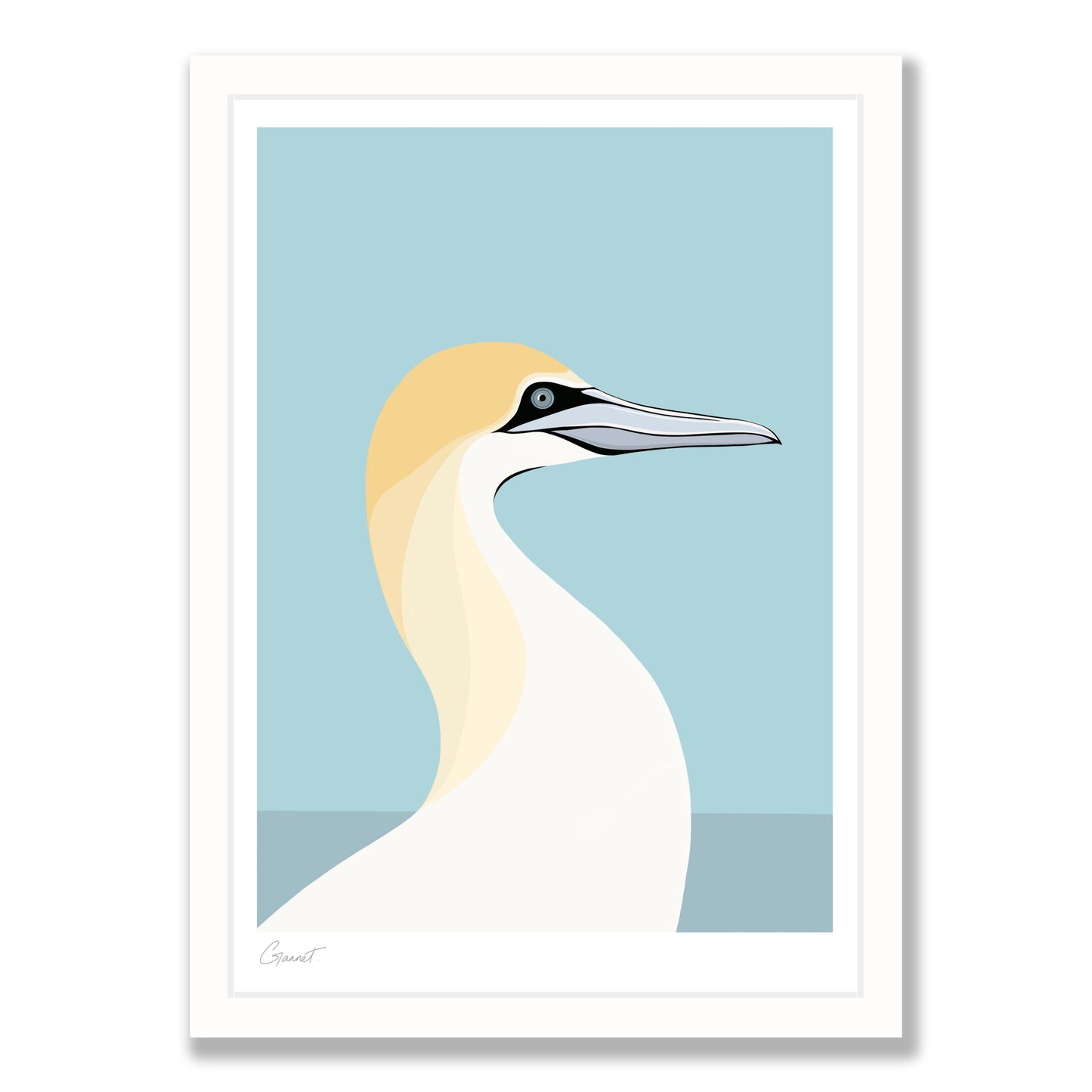 Gannet art print in white frame, by NZ artist Hansby Design