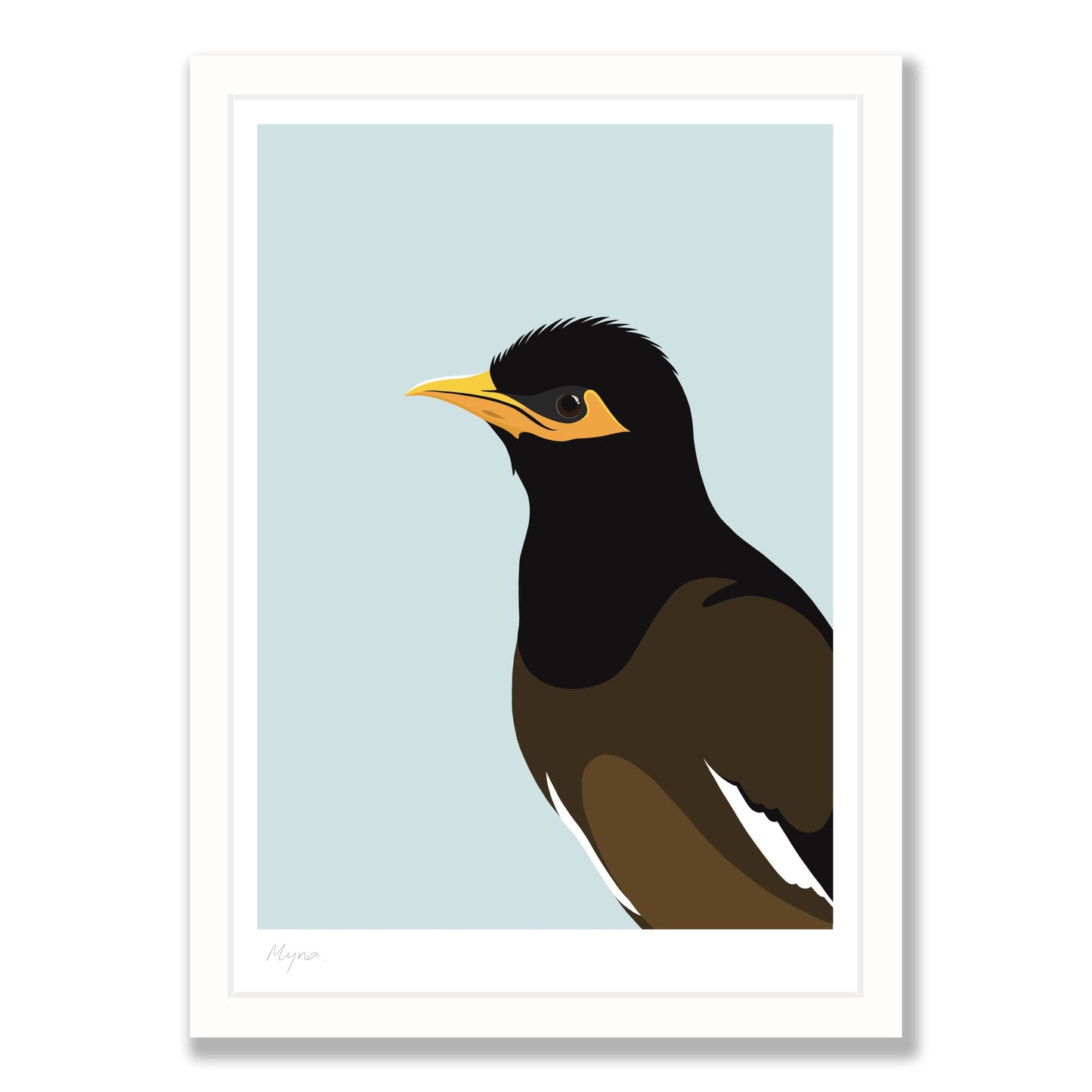 Myna bird art print in white frame, by NZ artist Hansby Design
