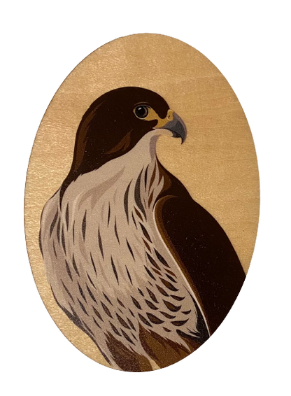 Falcon Wood Magnet art print by New Zealand artist Hansby Design