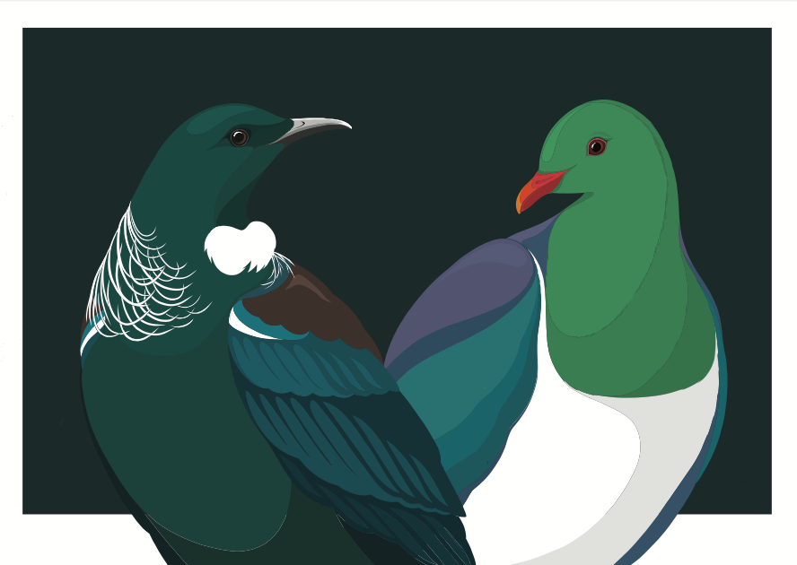 New Limited Edition Art Print Collection
