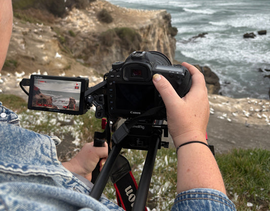 Making the brand video BTS
