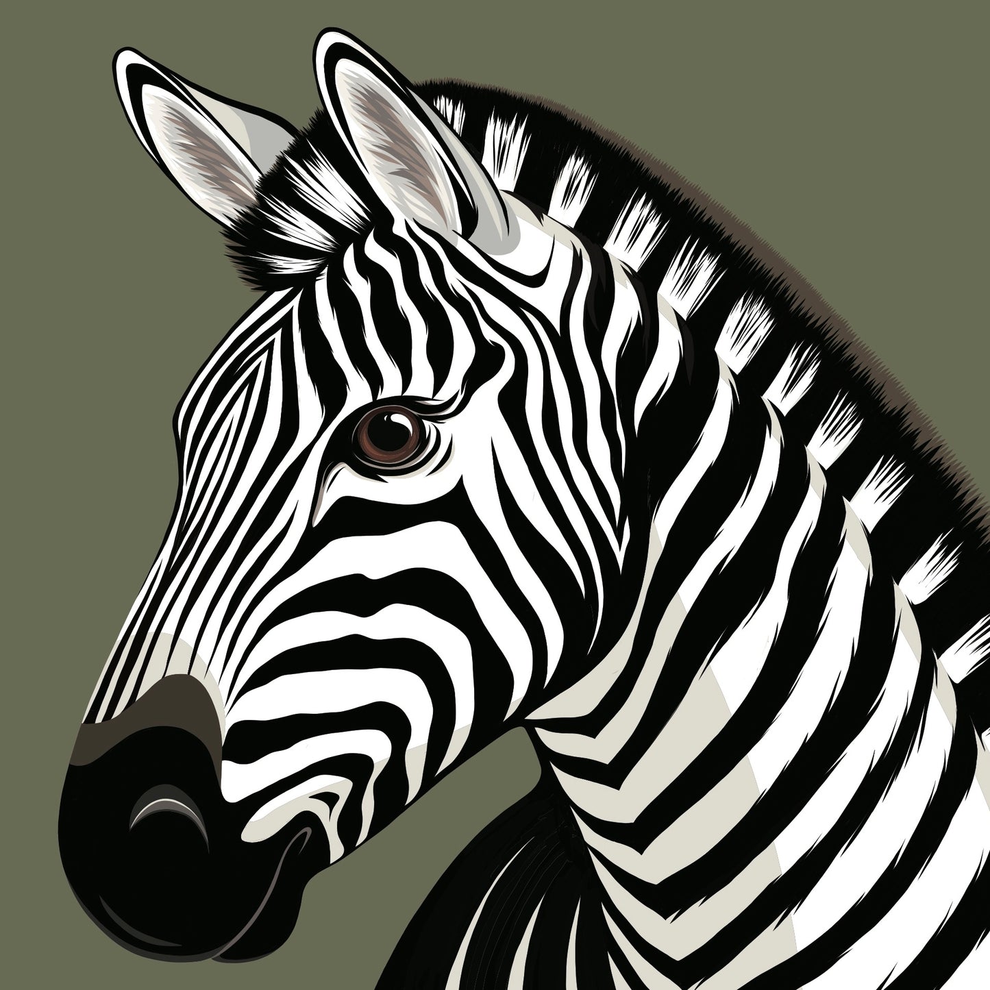 Zebra
