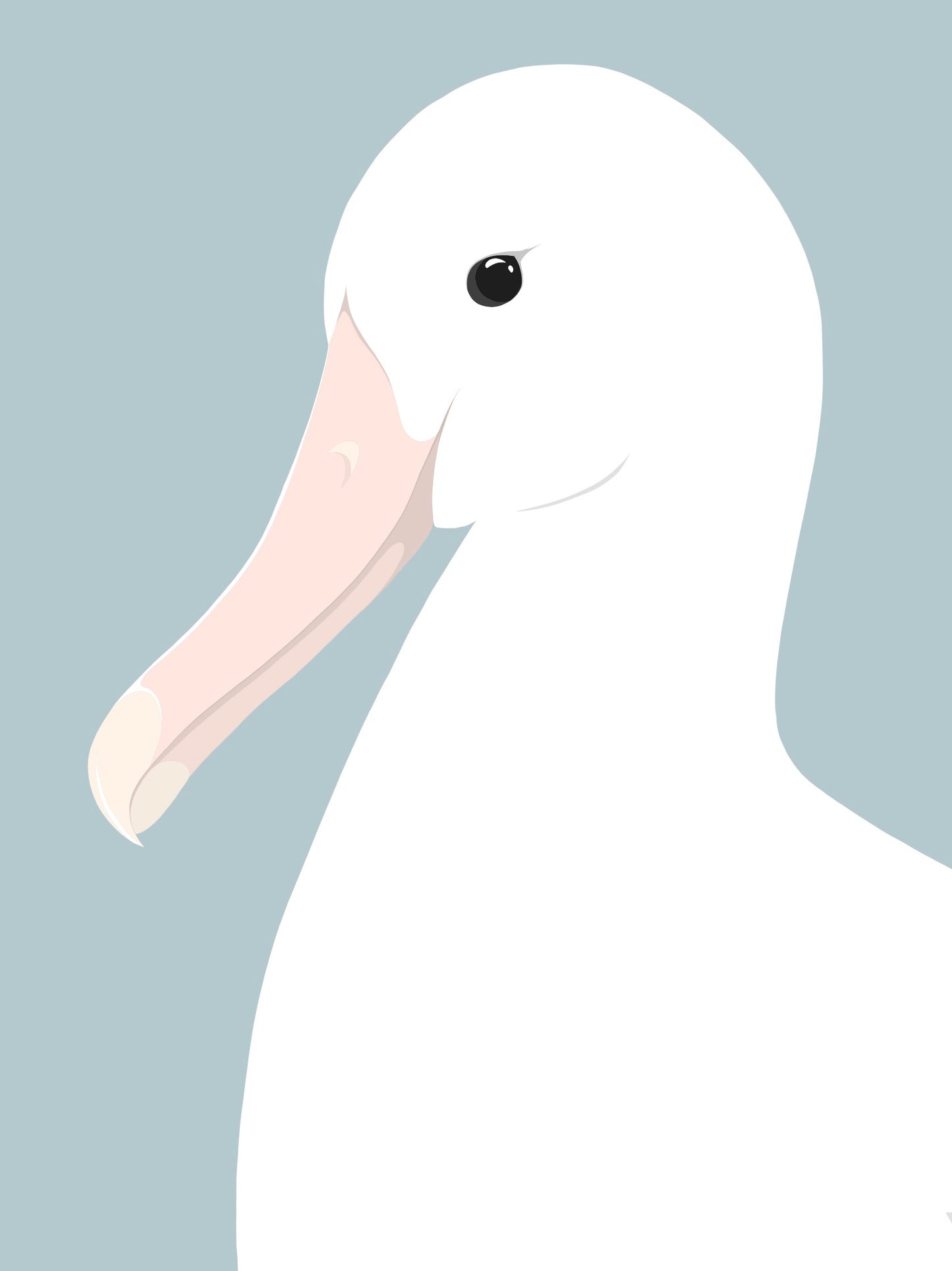 Closeup image Royal Albatross art print, by NZ artist Hansby Design