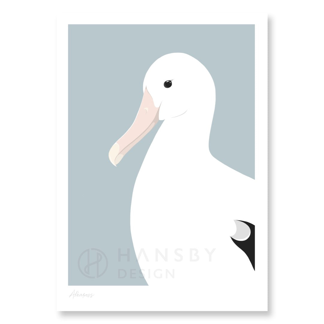 Royal Albatross art print