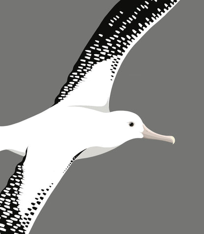 Closeup image of the Antipodean Albatross art print, by NZ artist Hansby Design