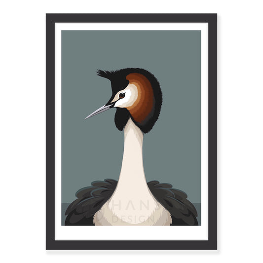 Australasian Grebe art print in black frame, by NZ artist Hansby Design