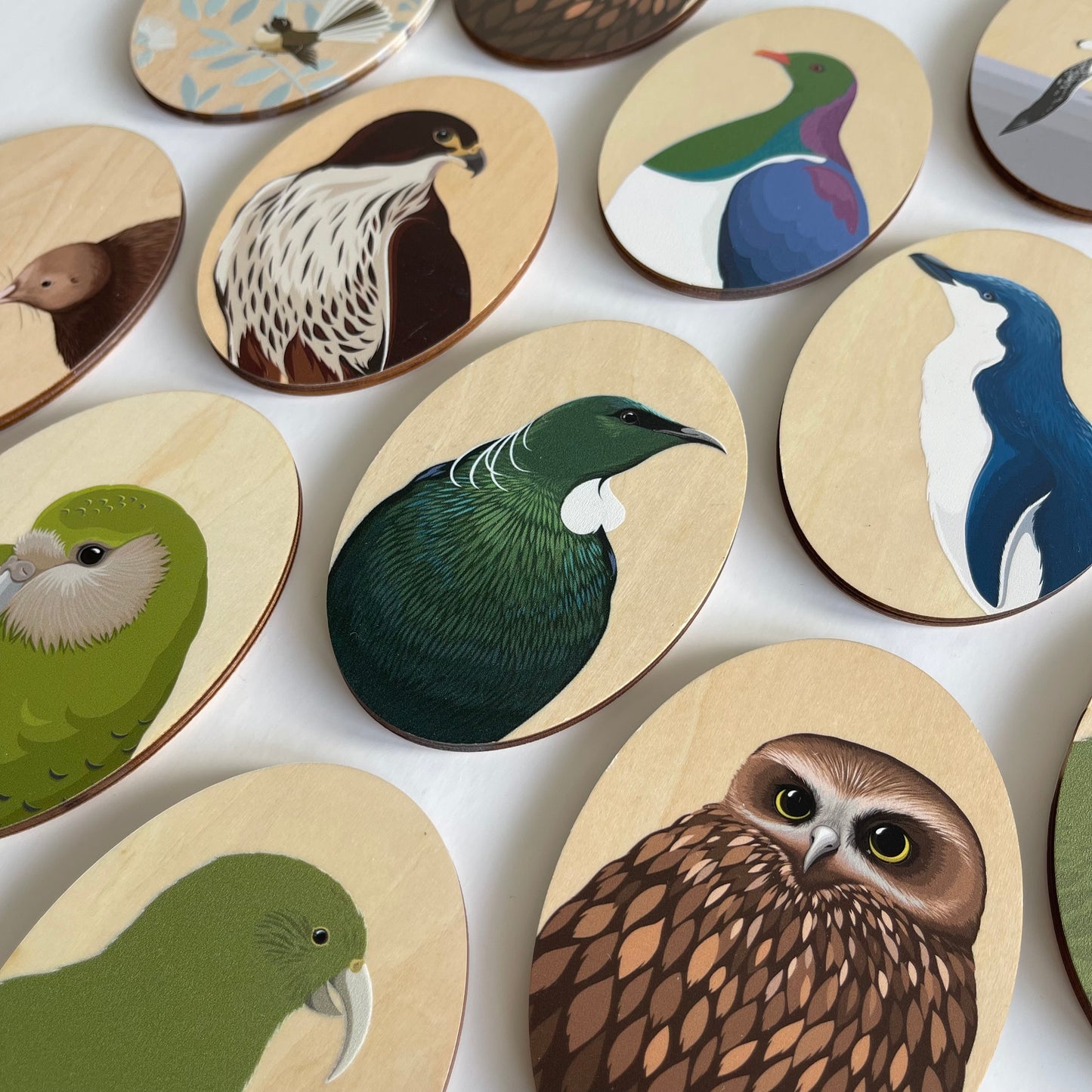 BOTY MAGNET COLLECTION