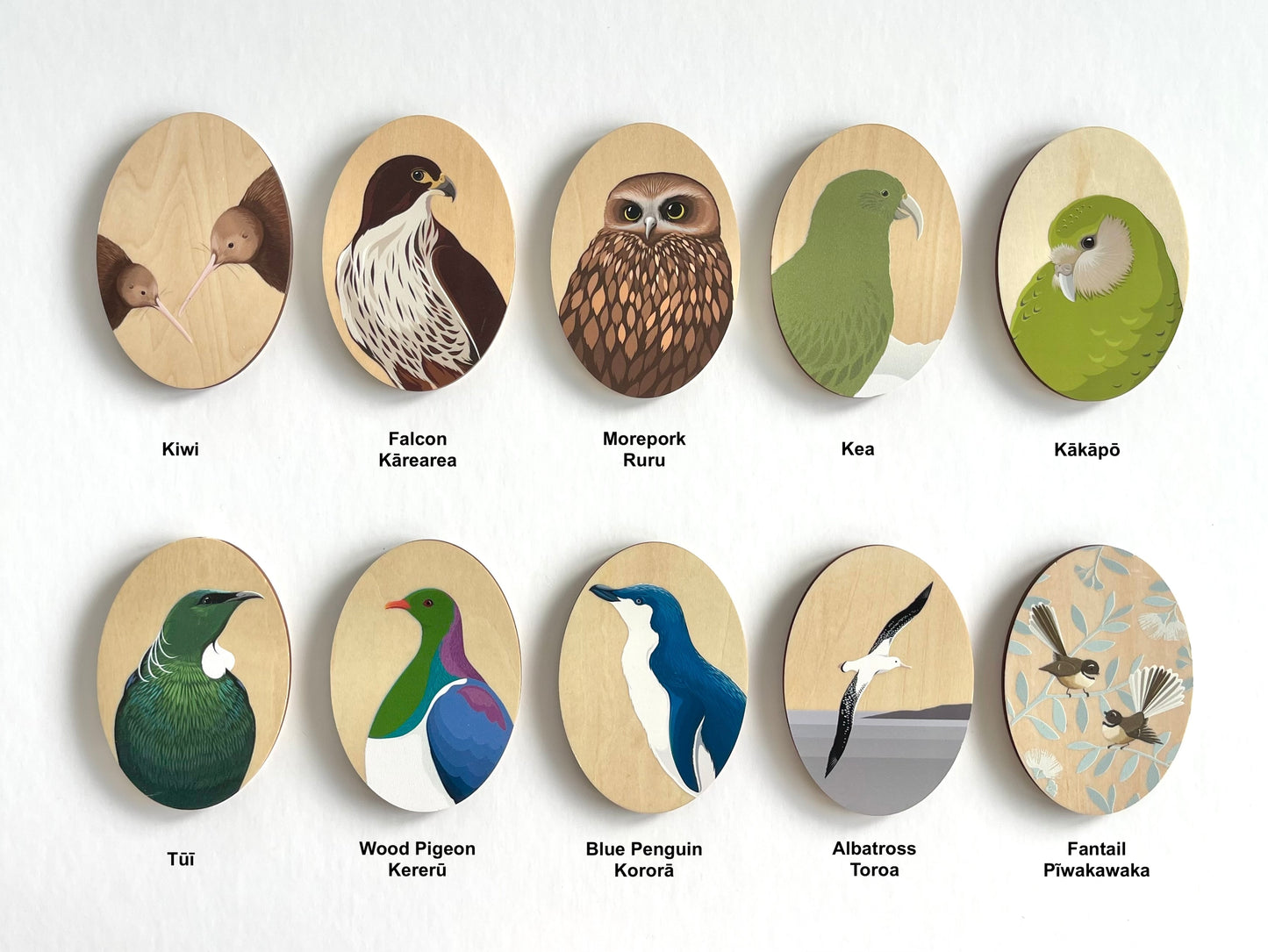 BOTY MAGNET COLLECTION