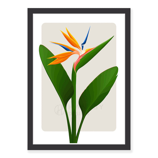 Bird of Paradise art print - almond in black frame, by NZ artist Hansby Design