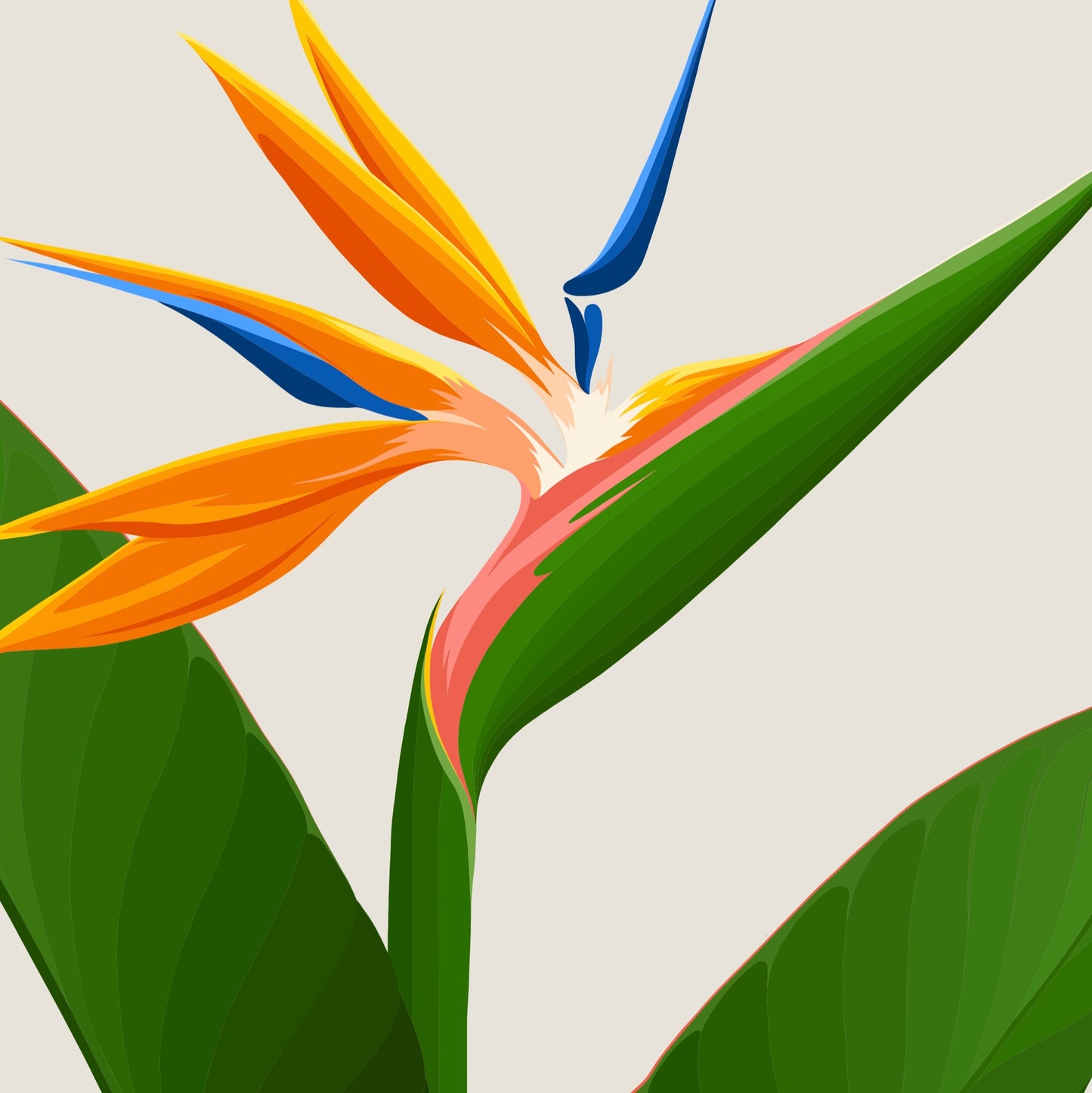 Closeup image of the Bird of Paradise art print - almond, by NZ artist Hansby Design