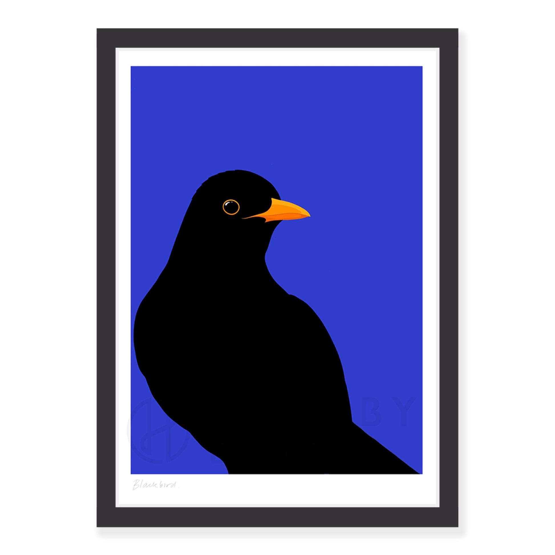 Blackbird art print in black frame, by NZ artist Hansby Design