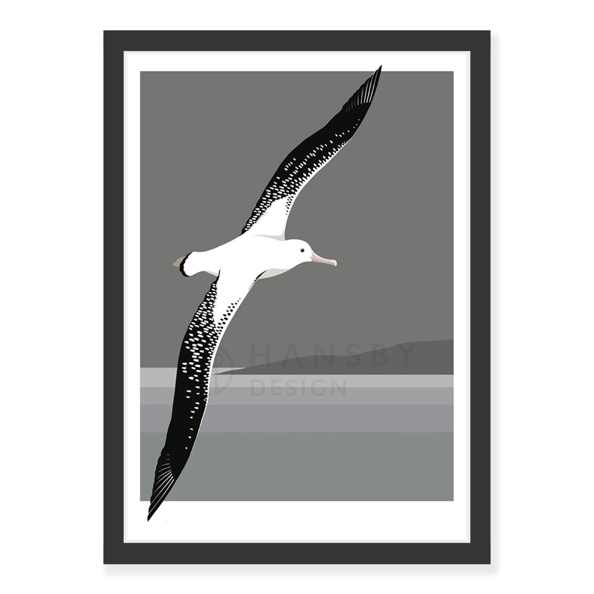 Antipodean Albatross art print in black frame, by NZ artist Hansby Design