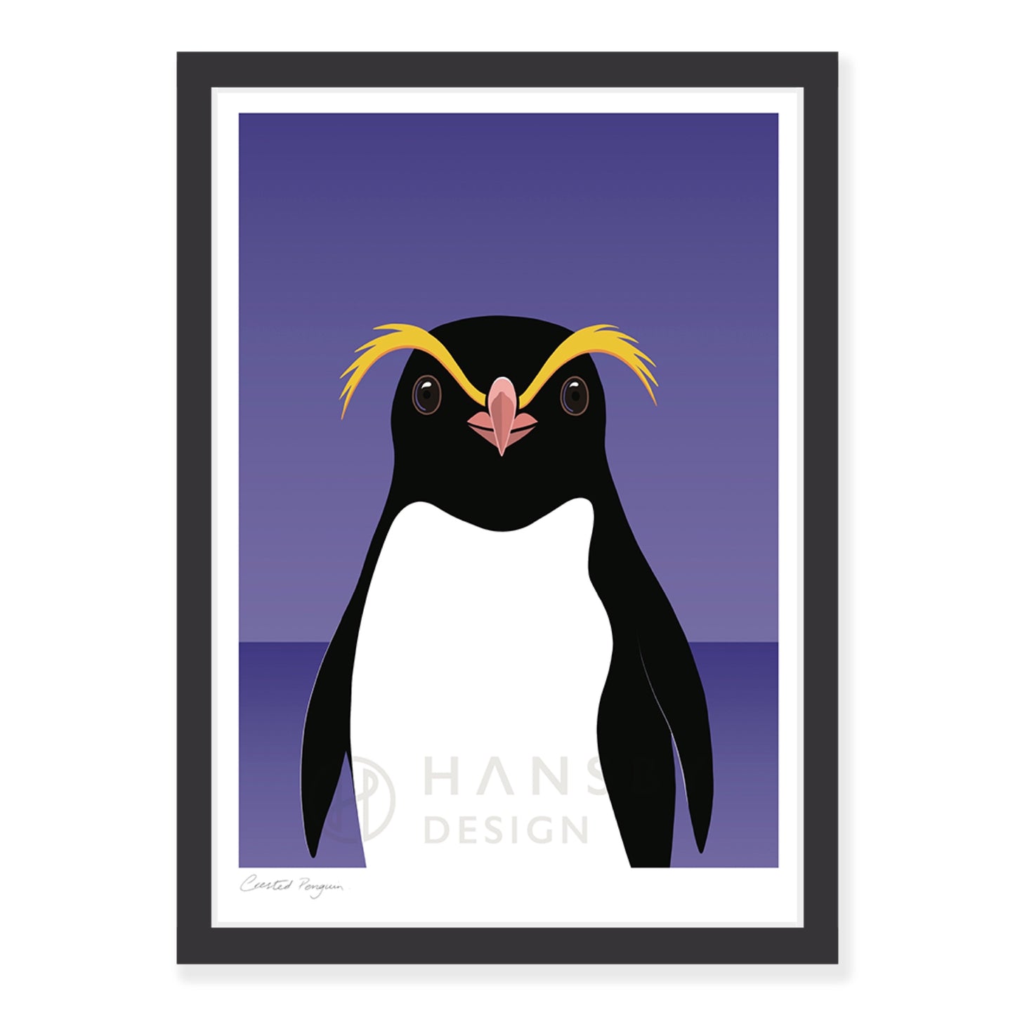 Crested Penguin art print in black frame, by NZ artist Hansby Design