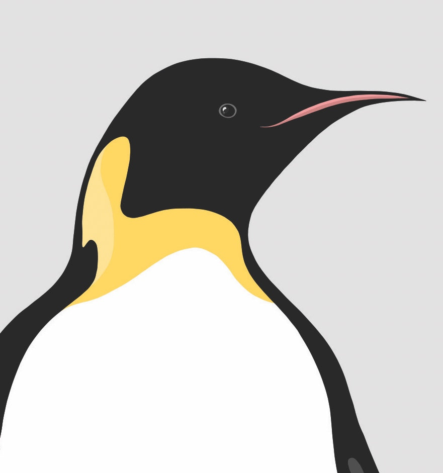 Closeup image of the Emperor Penguin art print, by NZ artist Hansby Design