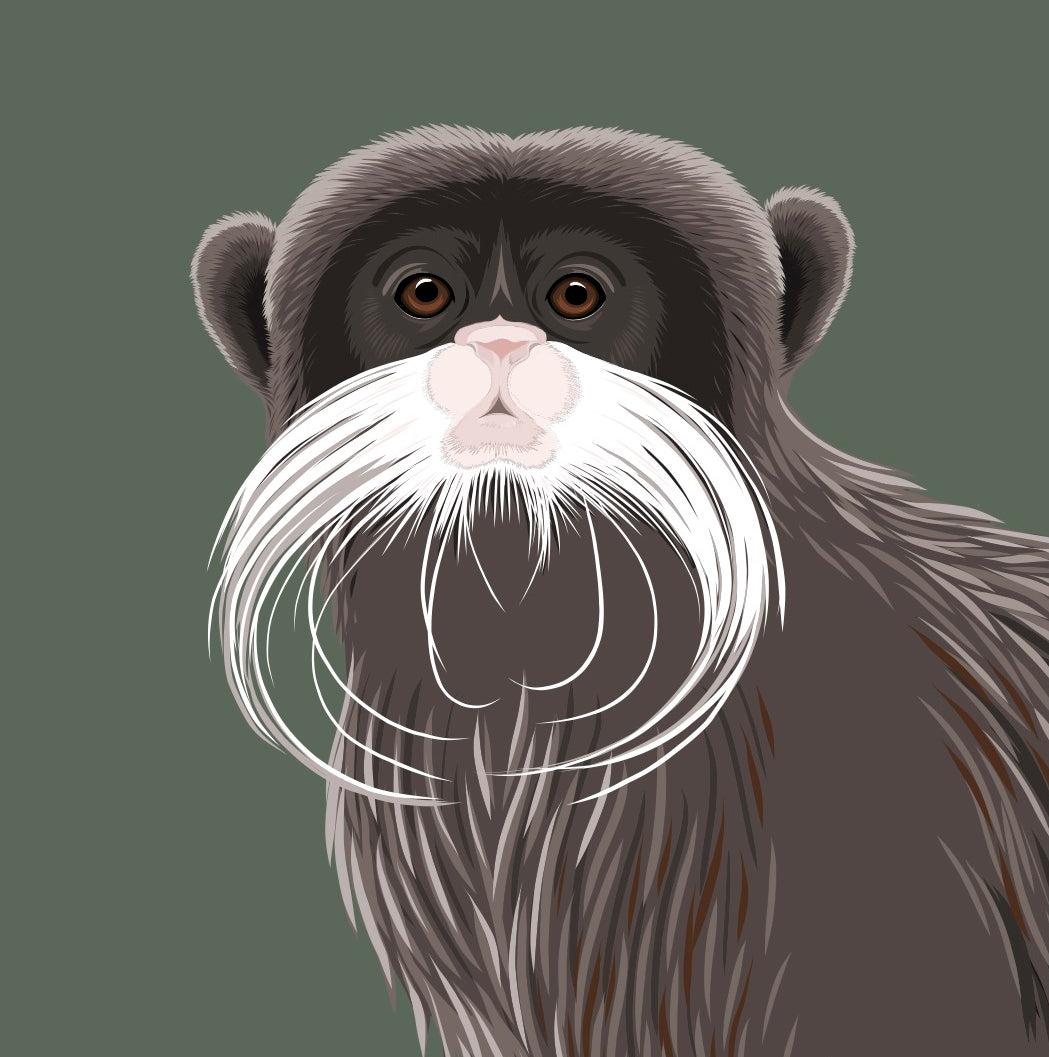 Close up detail of the Emperor Tamarin art print by Hansby Design