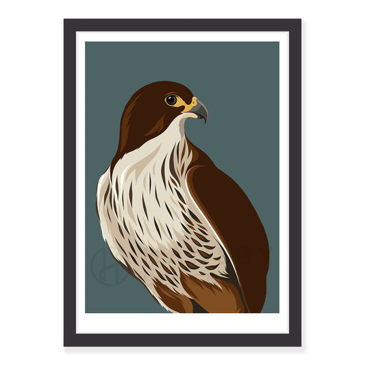 Falcon / Kārearea dusk art print in black frame, by NZ artist Hansby Design