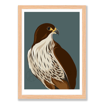 Falcon / Kārearea dusk art print in natural frame, by NZ artist Hansby Design