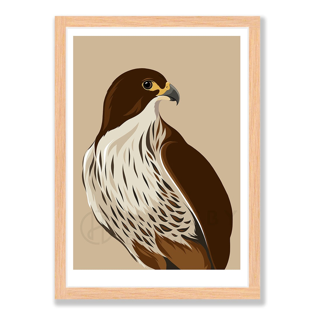 Falcon caramel art print in natural frame, by NZ artist Hansby Design
