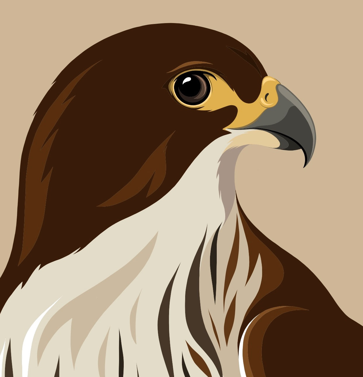 Closeup image of the Falcon caramel art print, by NZ artist Hansby Design