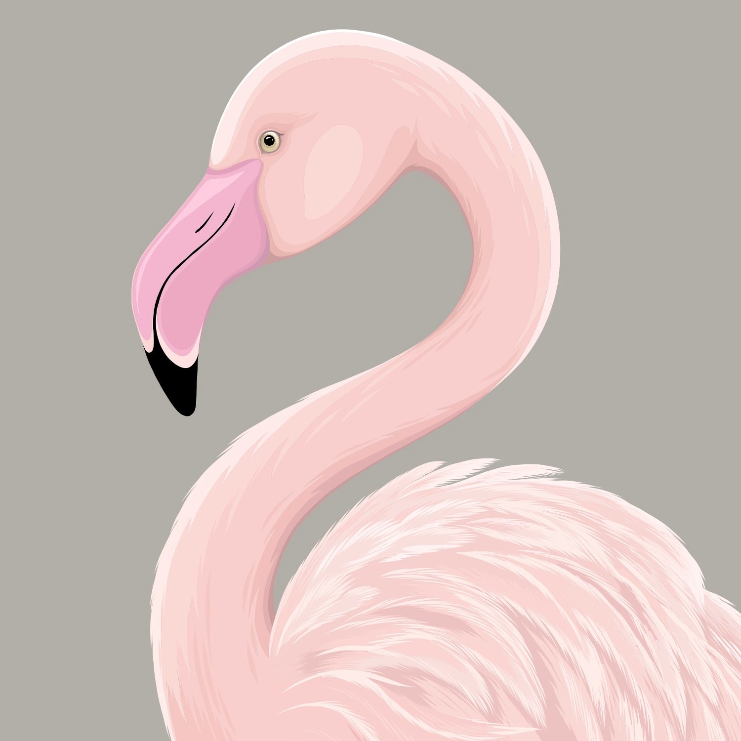 Detail of Flamingo art print by NZ artist Hansby Design
