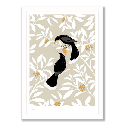 Huia leaves