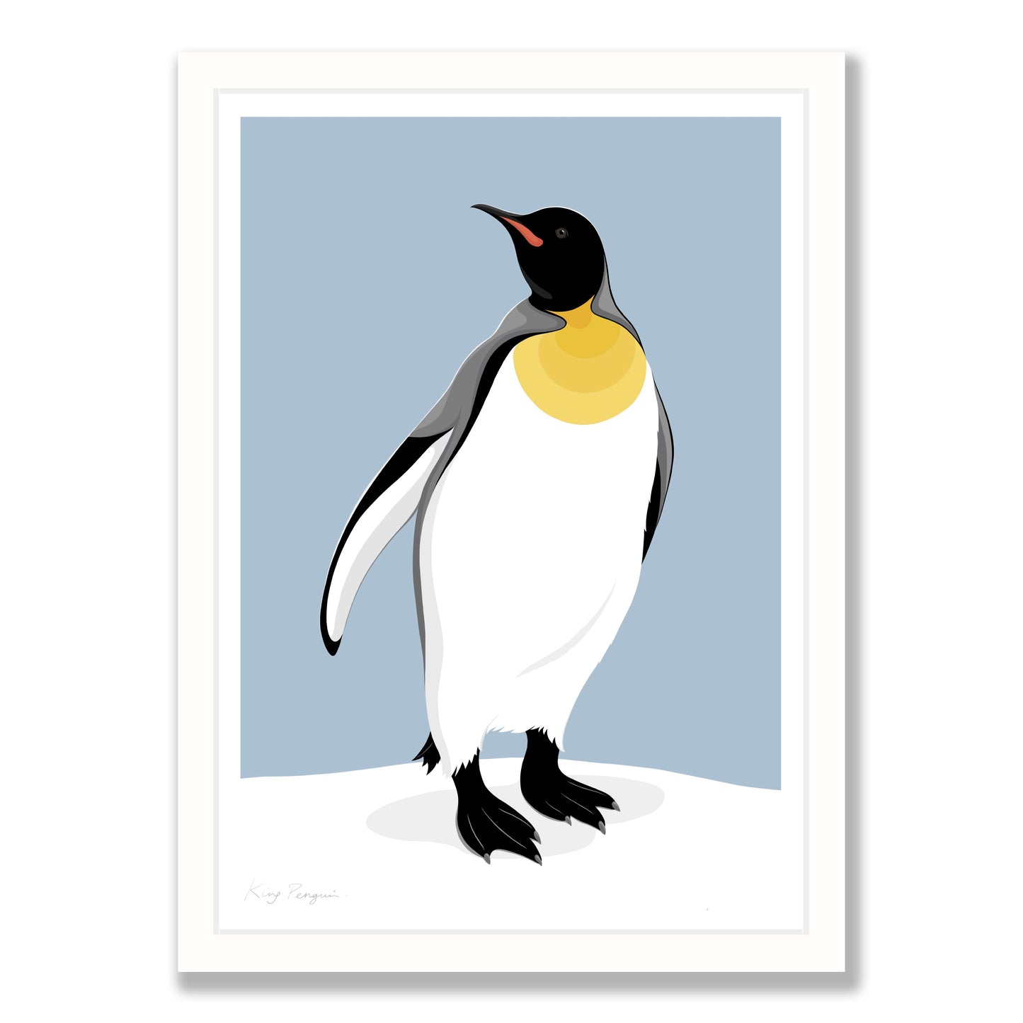 King Penguin