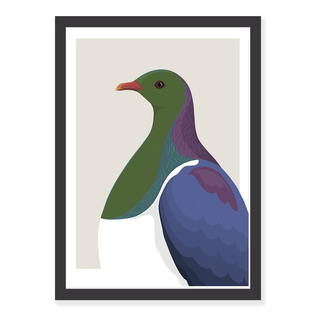 Framed black Kereru in profile art print by NZ artist Hansby Design 