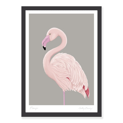 Greater Flamingo art print