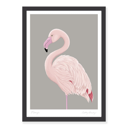 Greater Flamingo art print