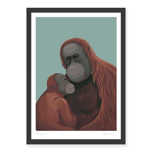 Bornean Orangutan art print