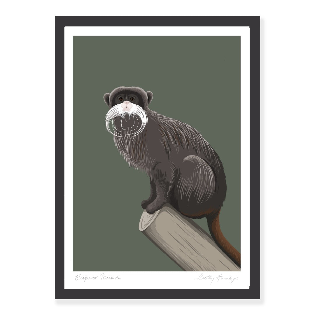 Framed art print of the Emperor Tamarin by NZ artist Hansby Design