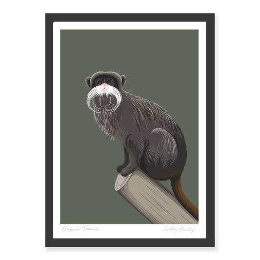 Framed art print of the Emperor Tamarin by NZ artist Hansby Design