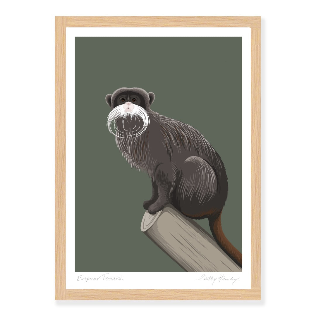Oak framed art print of the Emperor Tamarin by NZ artist Hansby Design