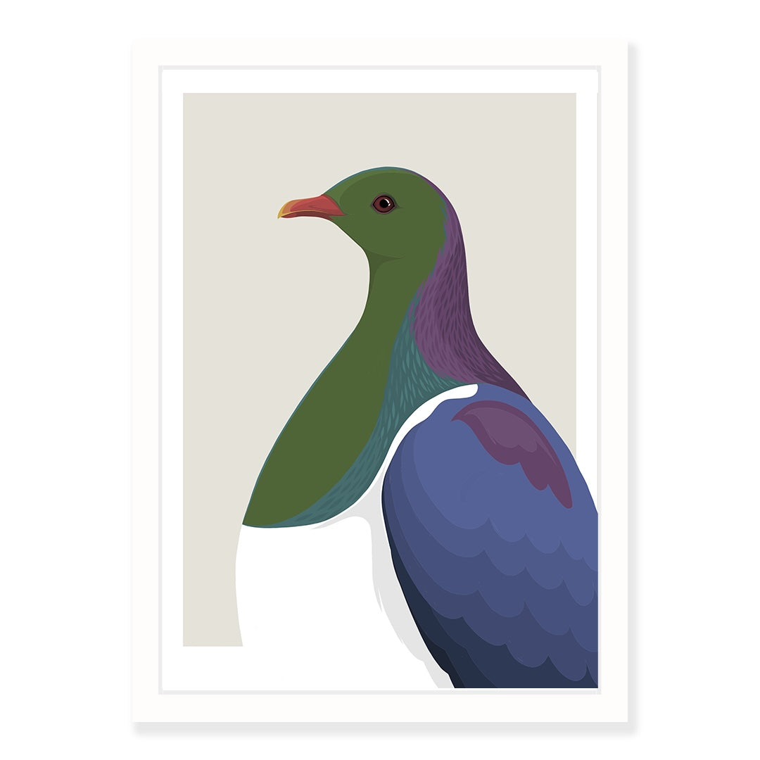 White framed Kereru art print by Hansby Design NZ