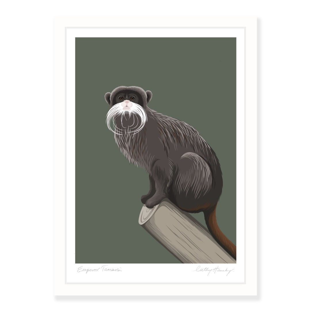 Framed art print of the Emperor Tamarin by NZ artist Hansby Design