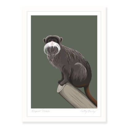 Framed art print of the Emperor Tamarin by NZ artist Hansby Design
