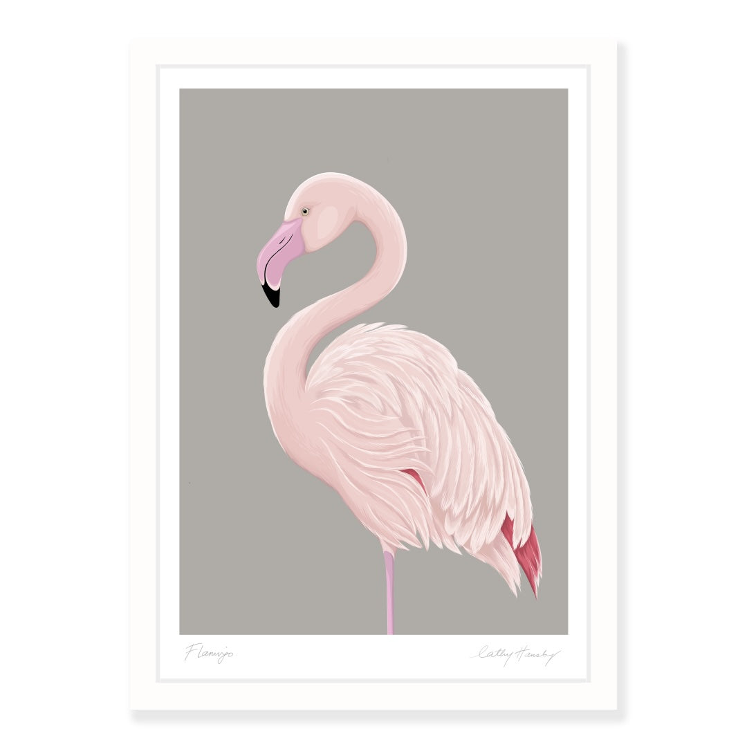 Greater Flamingo art print