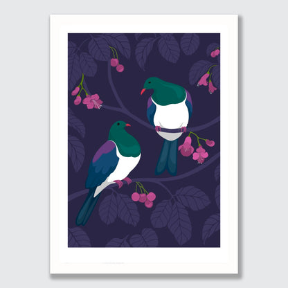 Kereru Pair art print