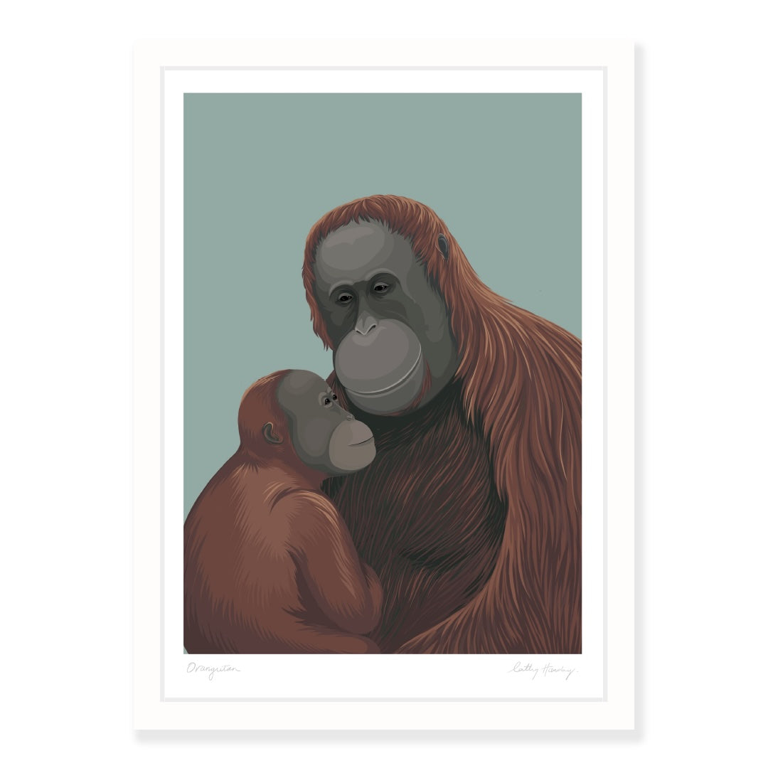Bornean Orangutan art print